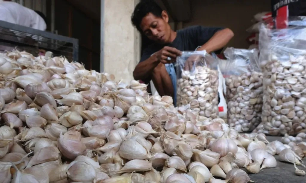 <p>Realisasi Impor Sedikit, Bapanas: Kepatuhan Importir Bawang Putih Minim</p>