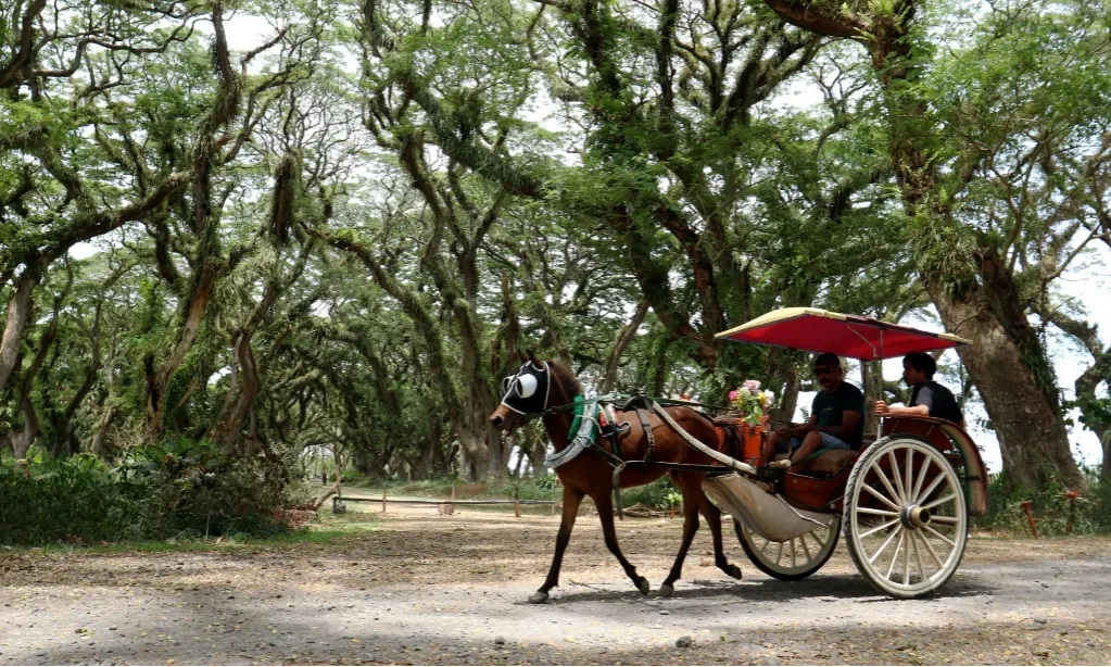 <p>Banyuwangi Jadi Percontohan Gerakan Wisata Bersih</p>