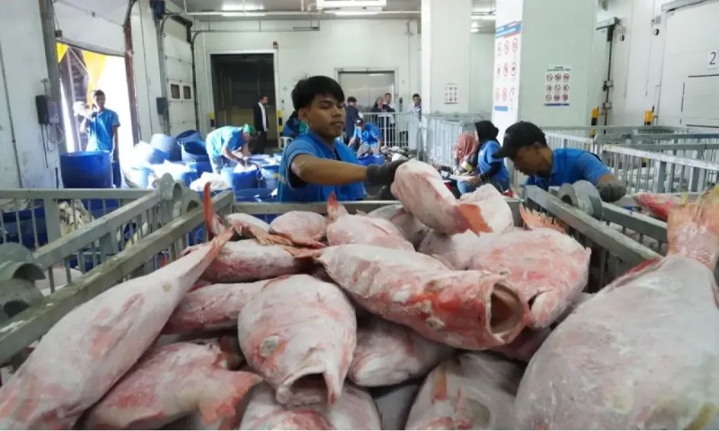 <p>Indonesia Penuhi Standar Global Ketertelusuran Hasil Perikanan Dunia</p>