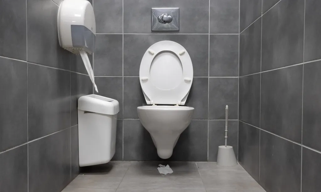 <p>Ragam Makanan Bantu Atasi Sembelit</p>