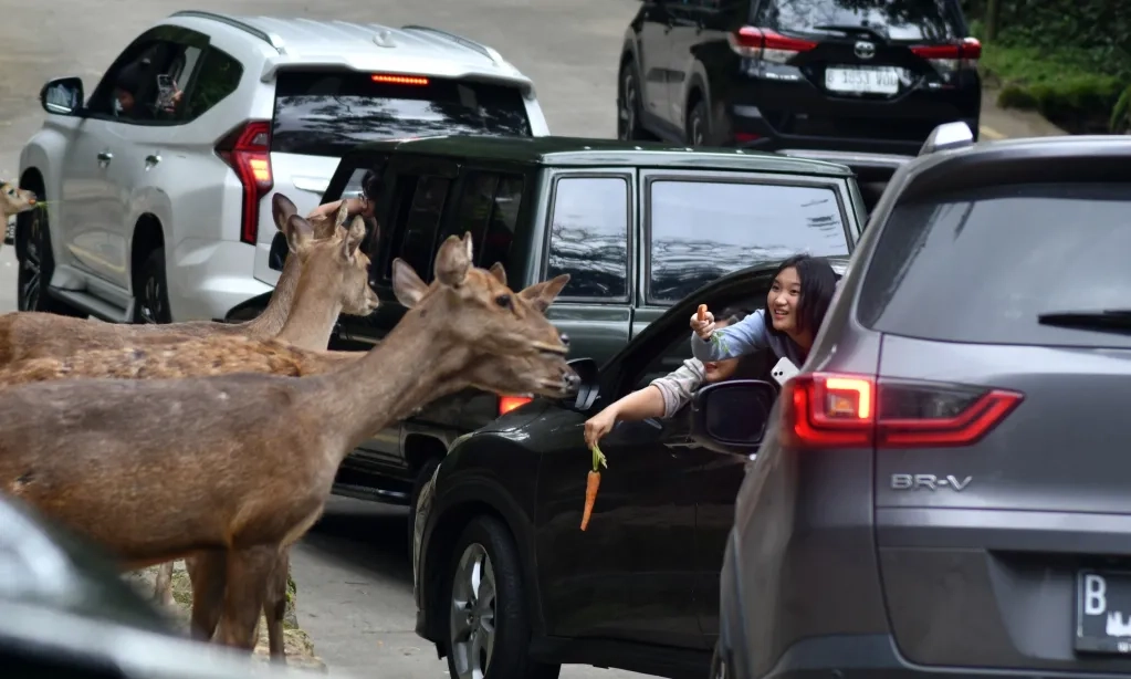 <p id="isPasted">6 Tips Jaga Keuangan Agar Tak Boros Di Musim Liburan</p>