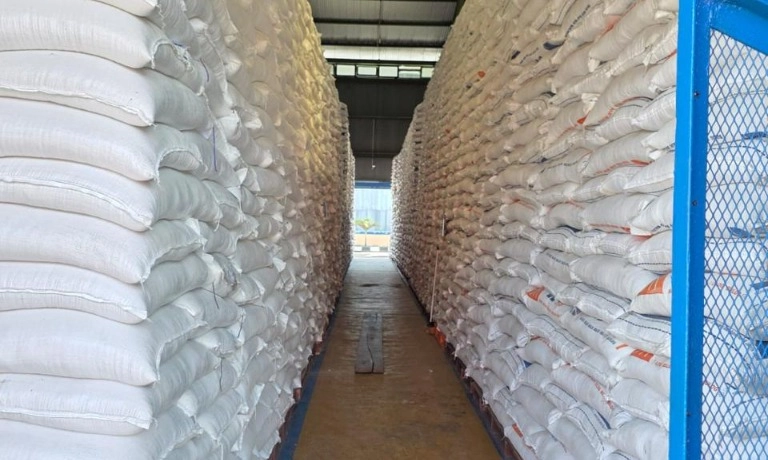 <p>Peringkat Ke-4 Dunia, FAO Prediksi Produksi Beras RI 2025/2026 Capai 35,6 Juta Ton</p>