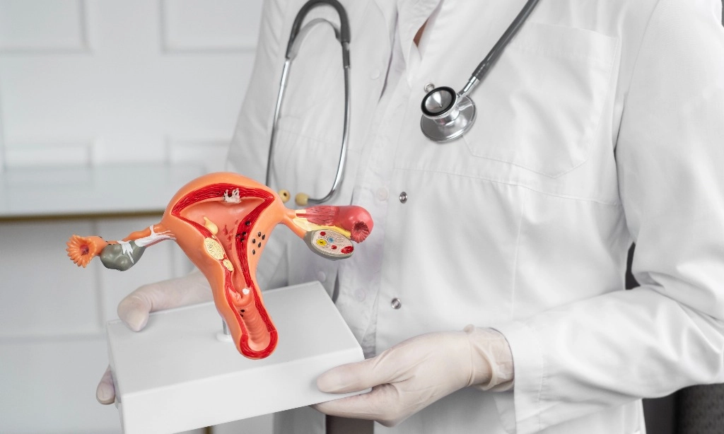 <p>Berapa Lama Virus HPV Sebabkan Kanker Serviks?</p>