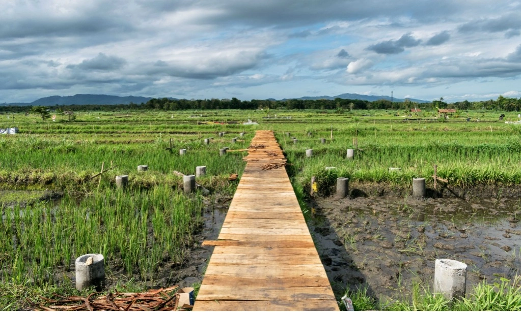 <p>Mendes Ingatkan Jaga Desa Agar Tak Seperti Jepang-Korsel&nbsp;</p>