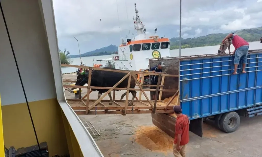 <p id="isPasted">Kementan-Ombudsman Benahi Sistem Perizinan Perdagangan Ternak Antarpulau</p>