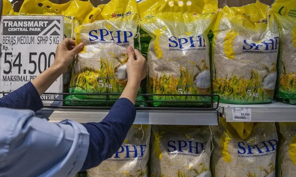 <p id="isPasted">Mentan Targetkan 1,7 Juta Ton Beras Lama Tuntas Disalurkan Akhir 2025</p>