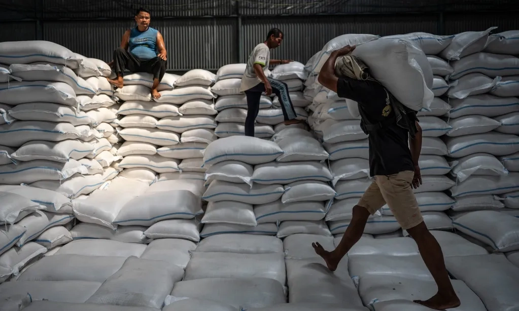 <p id="isPasted">CELIOS Sebut Rantai Pasok Beras Tak Efisien</p>