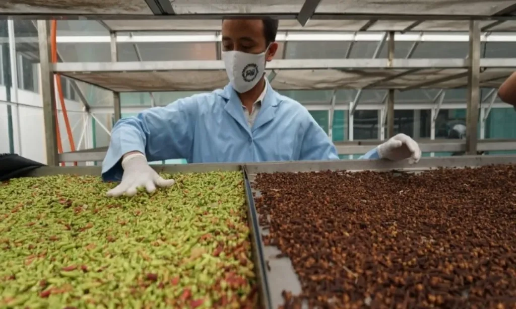 <p id="isPasted">Hadapi Tarif AS 32%, Kemenperin: Momen Perkuat Industri Obat Bahan Alam</p>