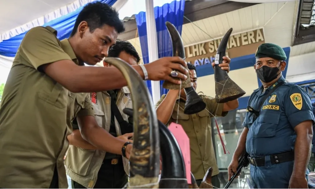 <p>RKUHAP Dikhawatirkan Turunkan Kualitas Penyidikan Kasus Lingkungan Hidup</p>