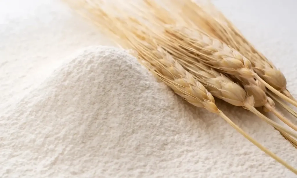 <p id="isPasted">Mentan Sebut Butuh Pertimbangan Sebelum Impor Pangan Dari AS</p>