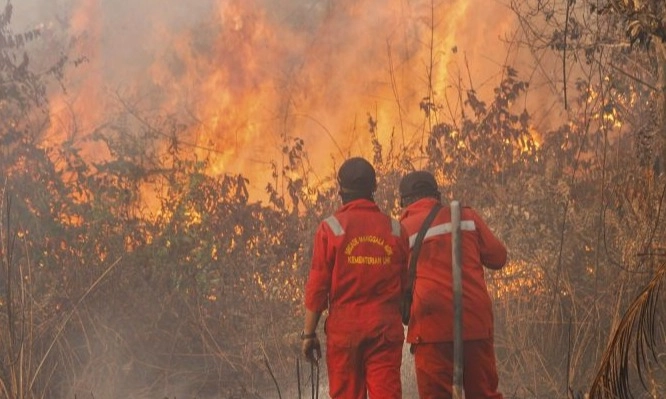 <p>BMKG: Riau Sedang Rawan Alami Karhutla</p>
