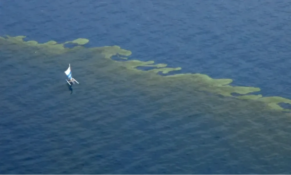 <p>Peran Besar Mikroba Dalam Pemulihan Laut Akibat Tumpahan Minyak</p>