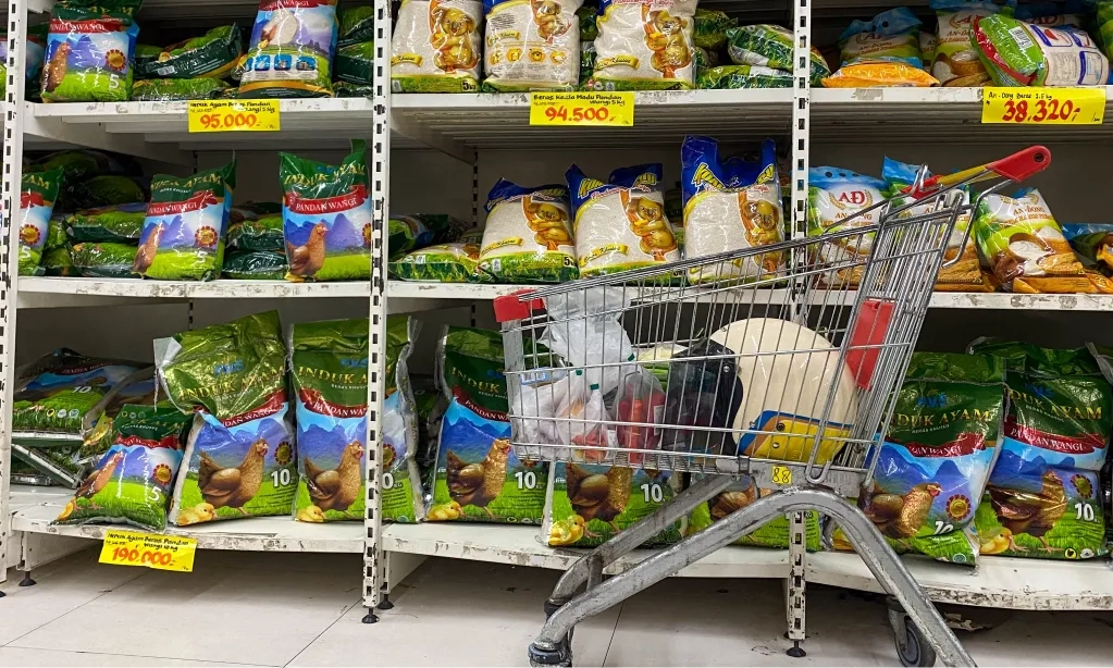 <p>Nasi Putih Atau Analog, Pilih Mana?&nbsp;</p>