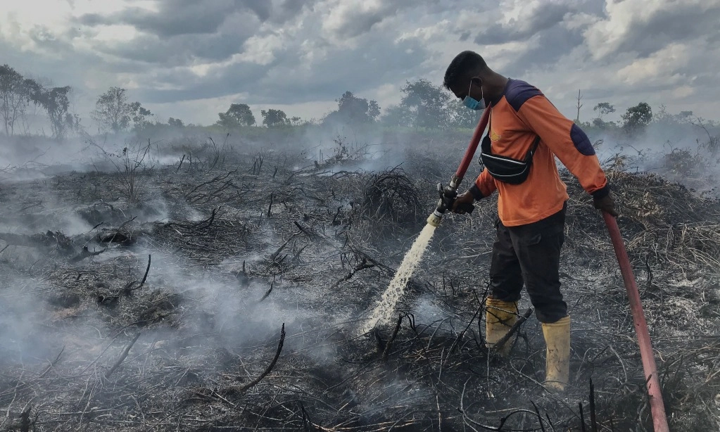 <p>Walhi: Titik Panas Di Kalbar Sebagian Besar Di Area Konsesi&nbsp;</p>