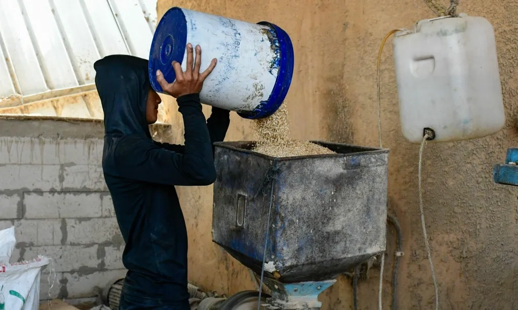 <p>Beras Premium dan Medium Dihapus, Pengamat Pertanyakan Banyak Hal</p>