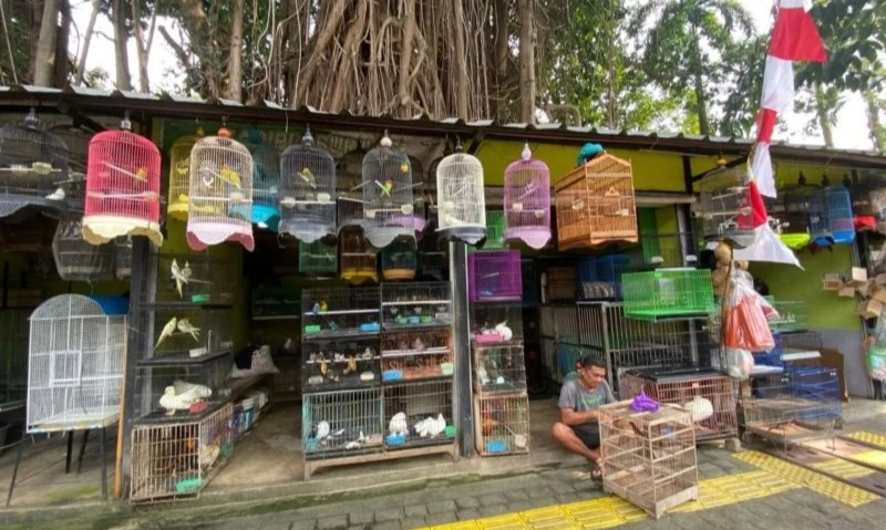 <p>Pemprov Jakarta Tata Perkotaan Secara Manusiawi&nbsp;</p>