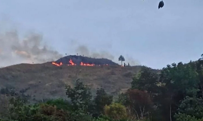 <p>Dishut Usut Sebab Karhutla di Sumbar&nbsp;</p>