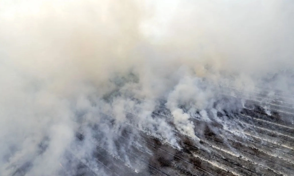 <p>Prabowo Tindak Tegas Korporasi Yang Lahannya Terbakar</p>