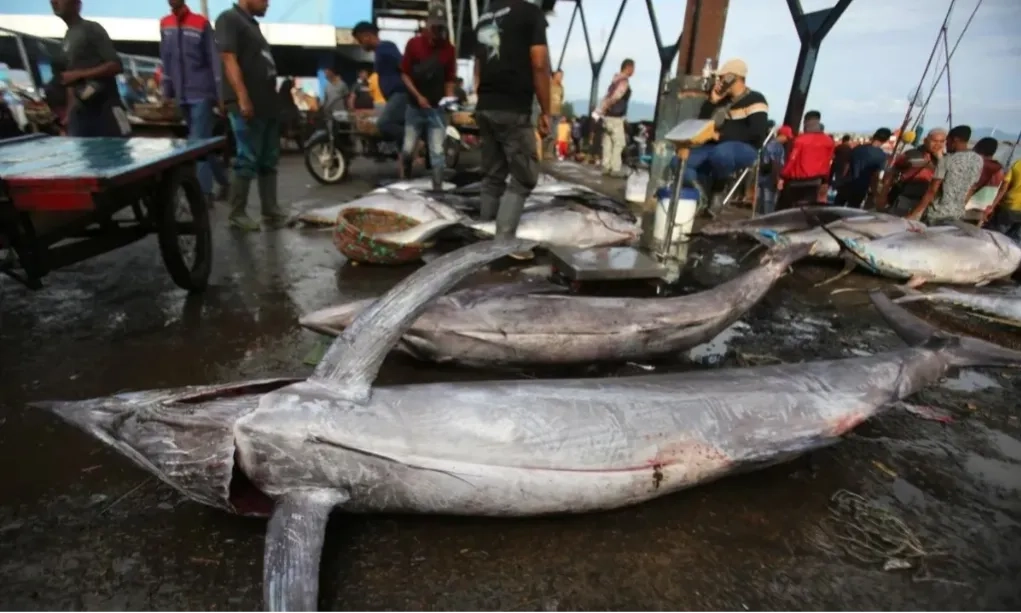 <p id="isPasted">Menteri Trenggono: Pangan Biru Punya Potensi Nilai Global US$419 Miliar</p>