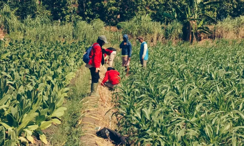 <p id="isPasted">BRIN Temukan Potensi Sesar Aktif Di Semarang, Seberapa Besar Ancamannya?</p>