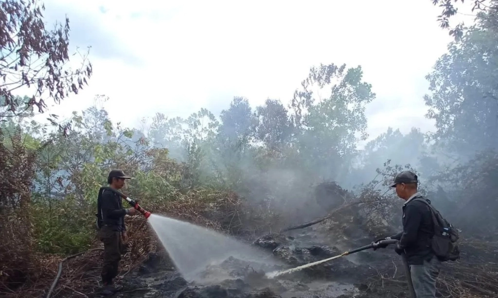 <p>BNPB Sebut Karhutla Kalteng Sulit Dipadamkan</p>