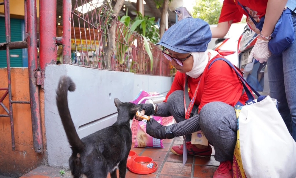 <p id="isPasted">Street Feeding, Wujud Kepedulian Untuk Kucing Jalanan</p>