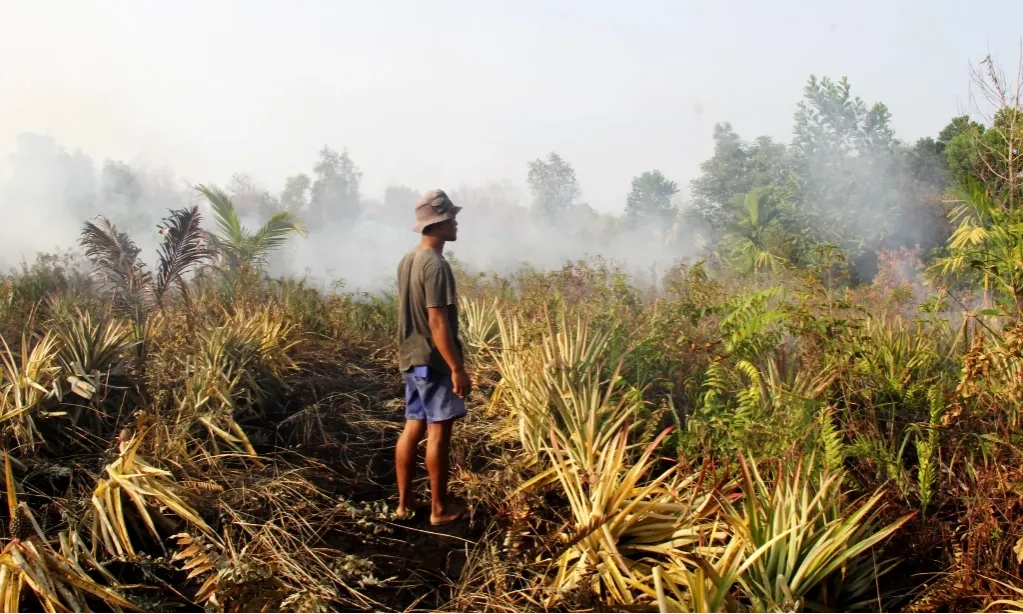 <p>OMC Ketiga Untuk Memadamkan Karhutla Riau&nbsp;</p>