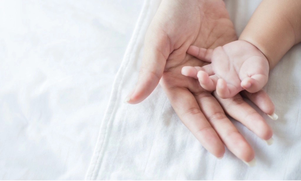 <p>IDAI: Kebiasaan Kunyahkan Makanan Anak Dapat Sebabkan Penyakit</p>