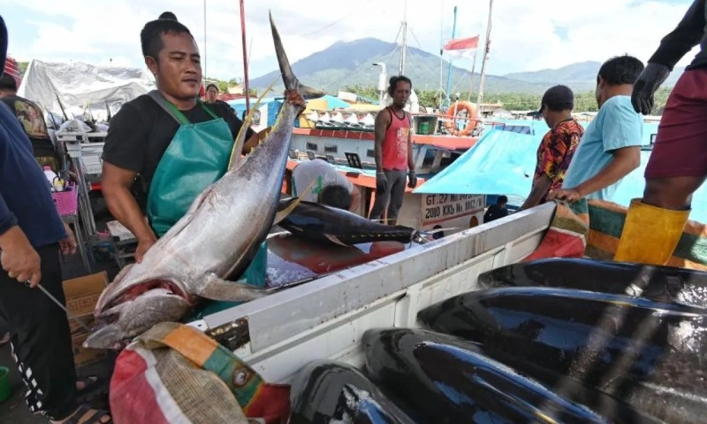 <p id="isPasted">KKP Kembangkan PPS Bitung Jadi <em>Eco Fishing Port</em></p>