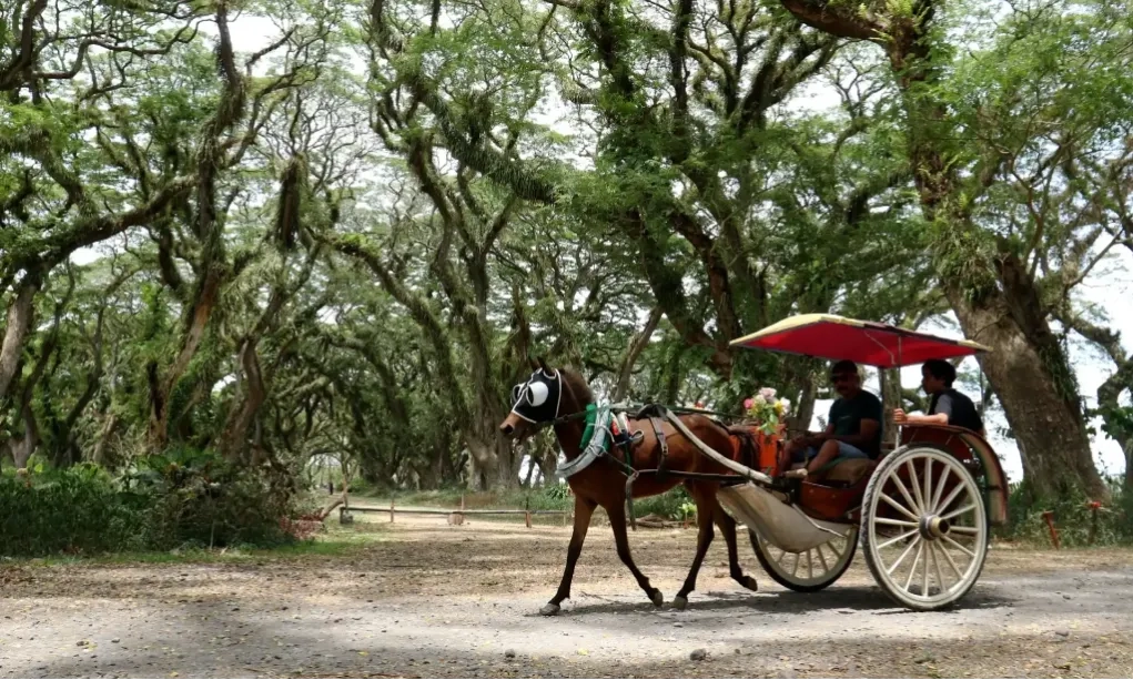 <p id="isPasted">Peta Jalan Mewujudkan Pariwisata Berkelanjutan Dan Berbasis Komunitas</p>