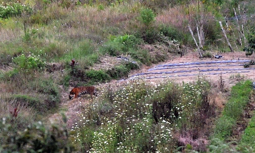 <p>Warga Di Kawasan TNBBS Diingatkan Tak Beraktivitas Di Hutan</p>