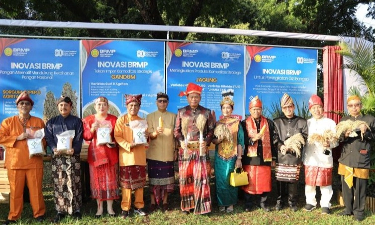<p>Kementan Rilis 8 Varietas Baru Unggul, Ada Padi Kaya Zinc-Gandum Produktif</p>