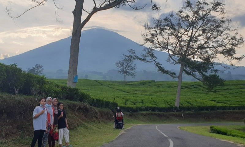 <p>Badan Geologi Sebut Gunung Dempo Lebih Tinggi Setelah Erupsi</p>
