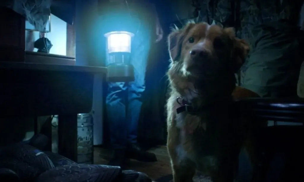 <p><em id="isPasted">Good Boy</em>, Film Horor Dari Sudut Pandang Seekor Anjing</p>