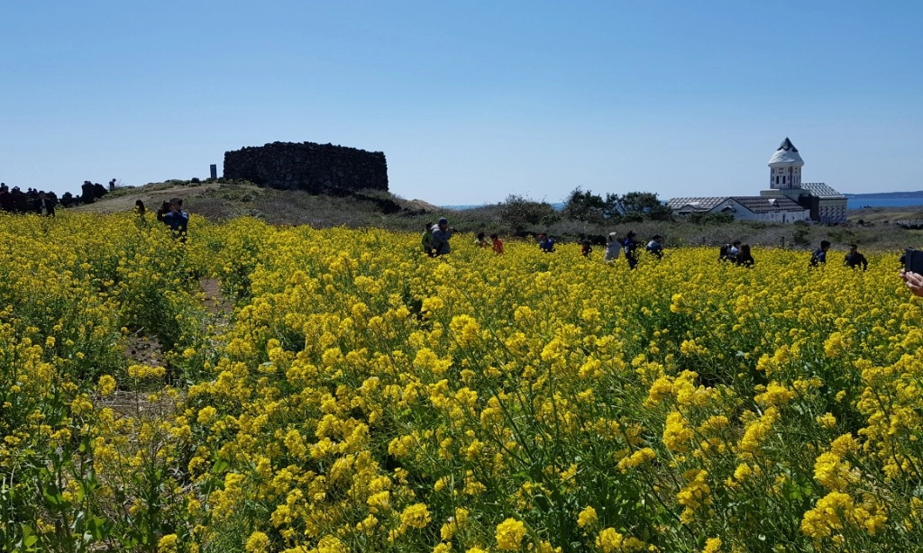 <p>Warga Pulau Jeju Resah Karena Perilaku Turis Tak Tertib</p>