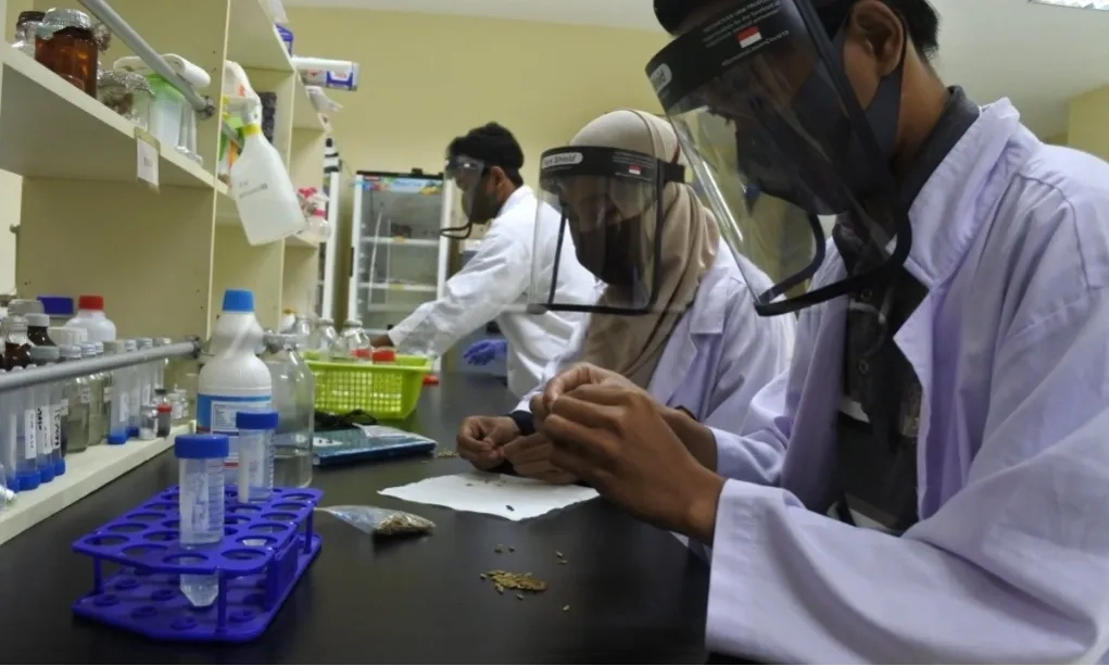 <p>LLDIKTI Papua Tolak Prodi Seragam</p>