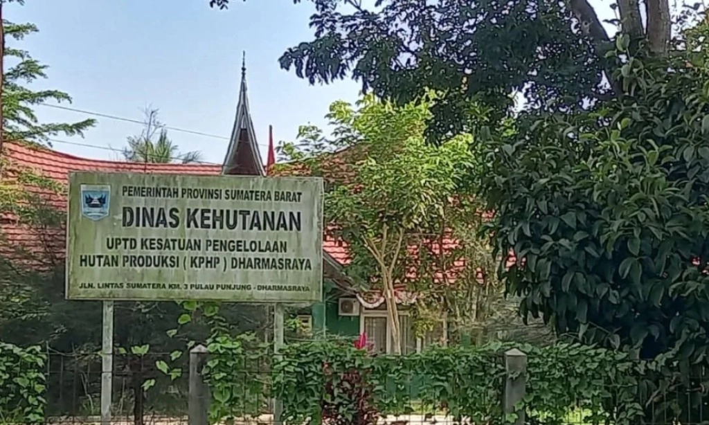 <p>9 Ribu Hektare Lebih Lahan Sawit Sumbar di Hutan&nbsp;</p>