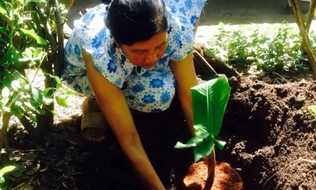 <p id="isPasted">Tak Cuma Anak-Anak, Cacingan Juga Mengintai Orang Dewasa</p>