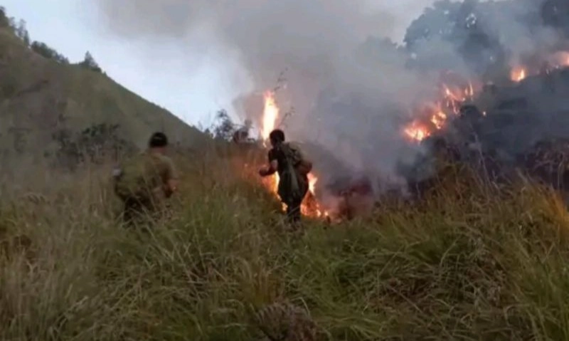 <p>70 Hektare Gunung Rinjani Terbakar</p>