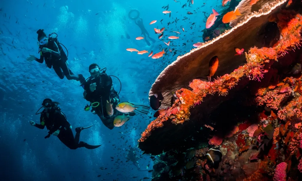 <p><em id="isPasted">Blue Economy</em>: Kunci Pemanfaatan Sumber Daya Laut Secara Berkelanjutan</p>