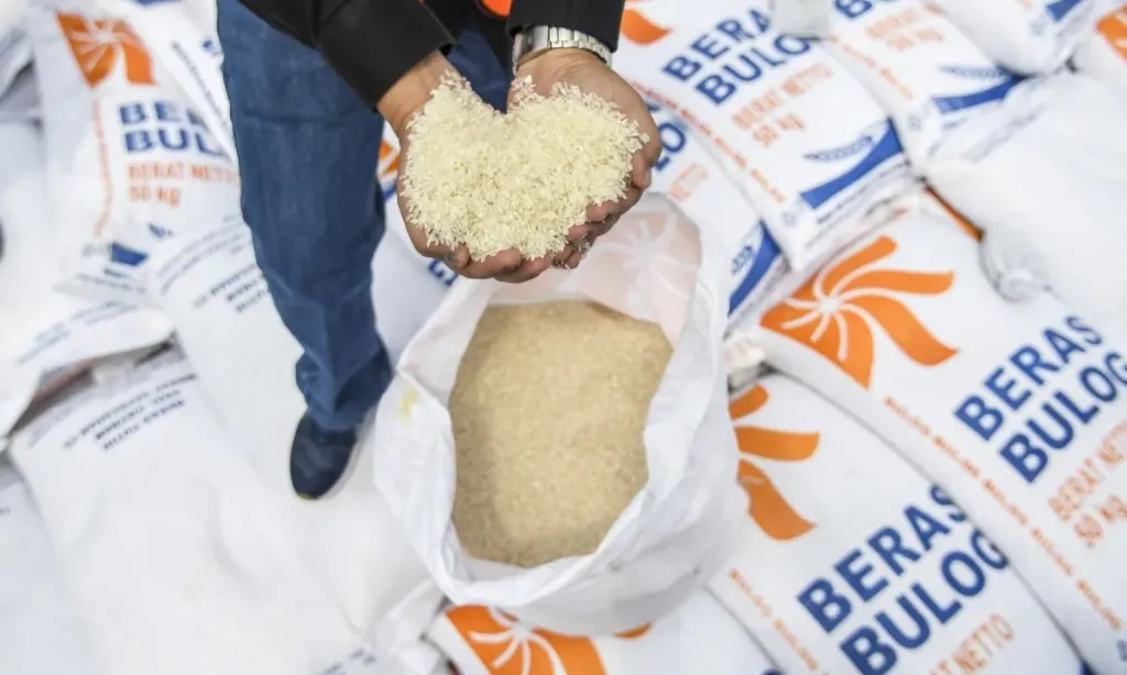 <p>Pakar: Beras Turun Mutu Capai 100 Ribu Ton Berpotensi Rugikan RI Rp1,2 T</p>
