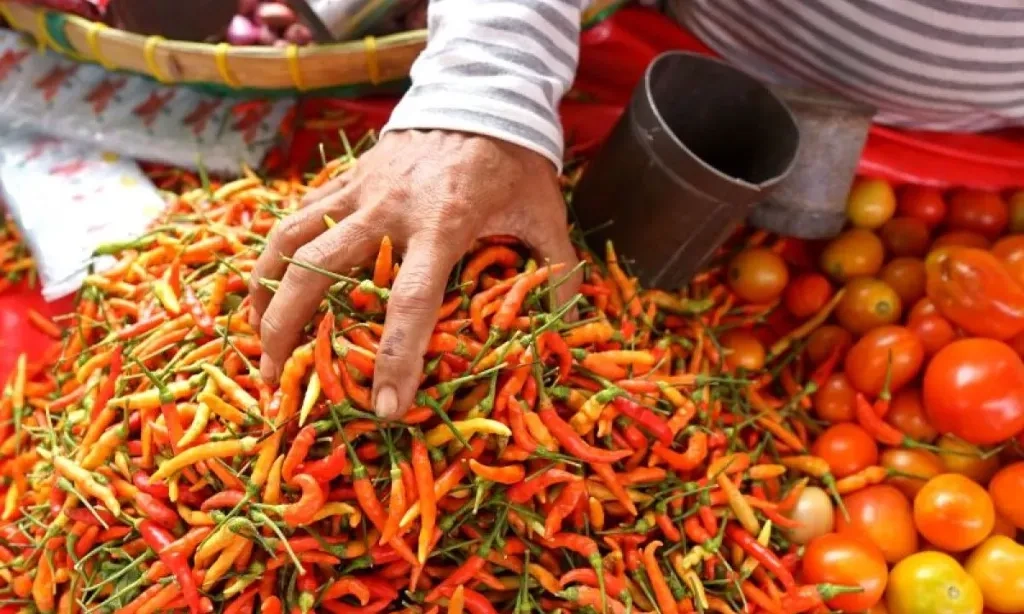 <p dir="auto" id="isPasted">BPS: Tomat dan Cabai Jadi Biang Kerok Deflasi Agustus 0,08%</p>