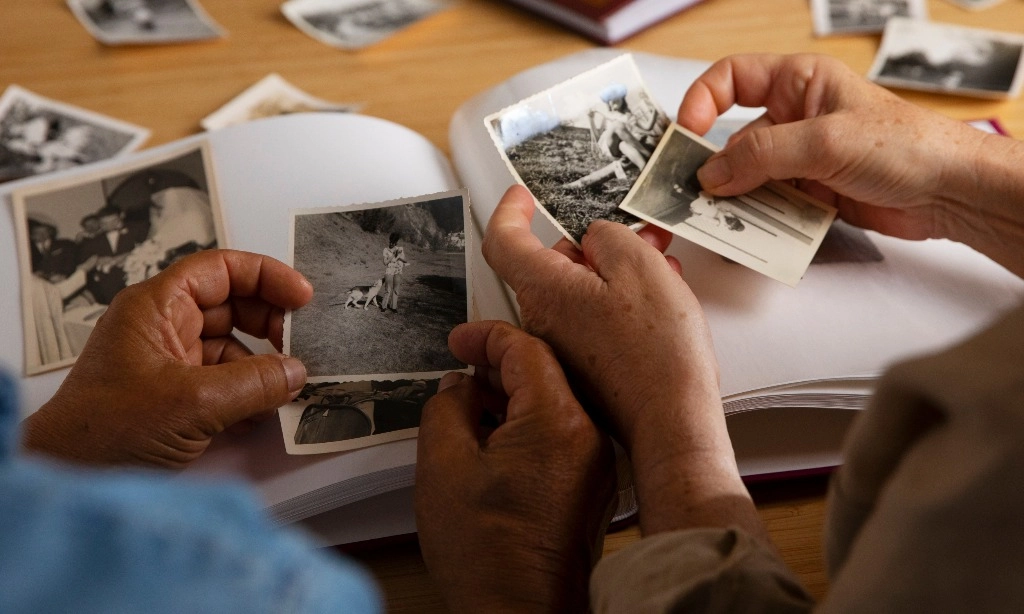 <p id="isPasted">Memahami Memori Emosional, Saat Kenangan Sulit Dilupakan&nbsp;</p>