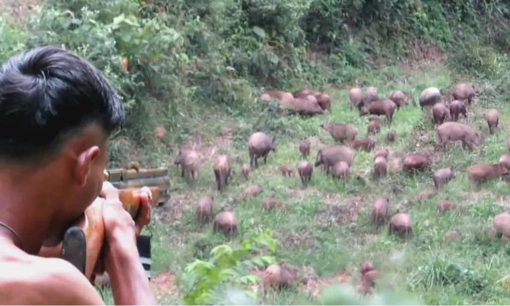 <p>Ditangkap, Kelompok Pemburu Liar Di Merbabu</p>