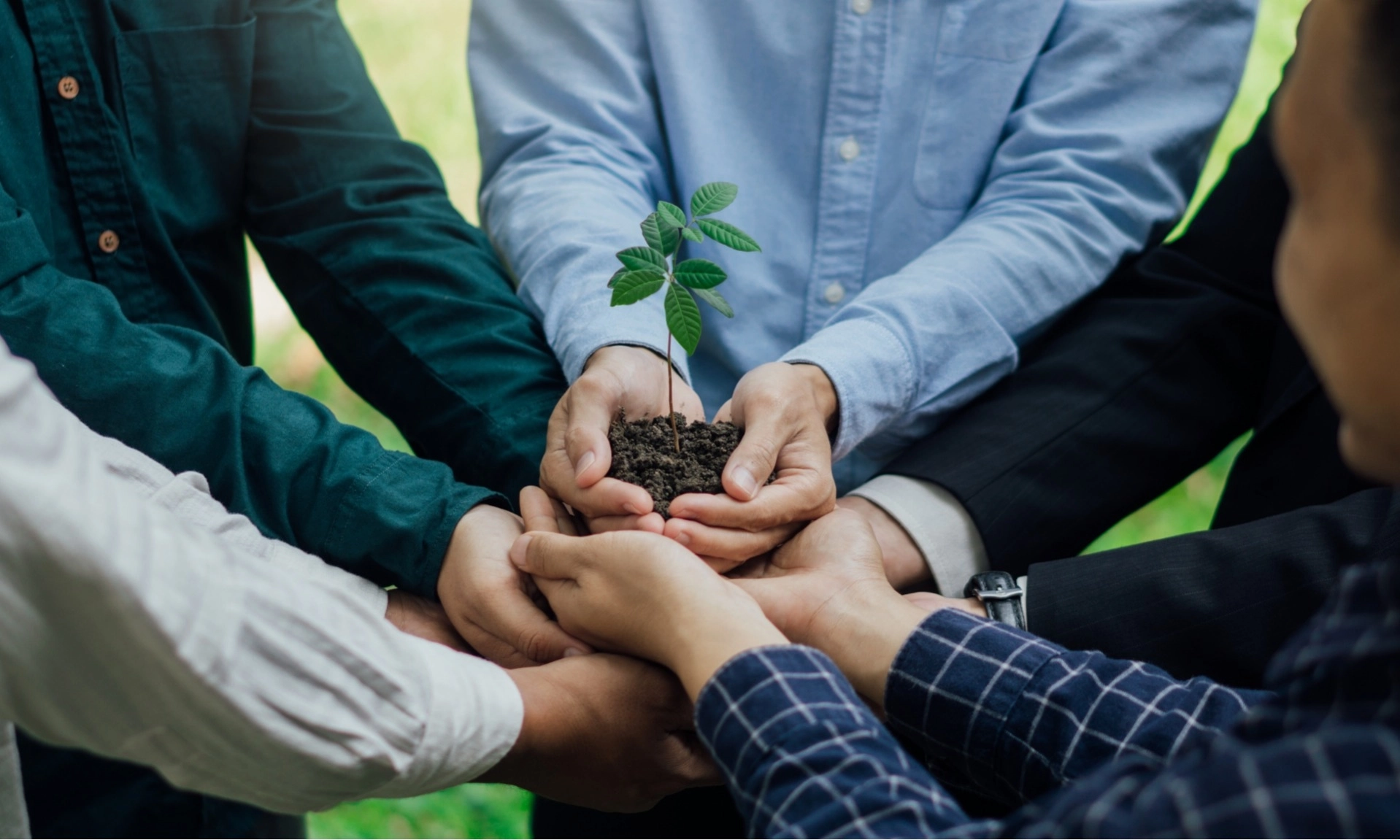 <p>Ekonomi Regeneratif; Fondasi Ekonomi Hijau Paling Pas Membangun Indonesia&nbsp;</p>