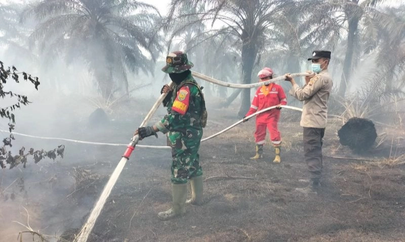 <p>Luas Karhutla Jambi Tercatat 448,73 Hektare&nbsp;</p>