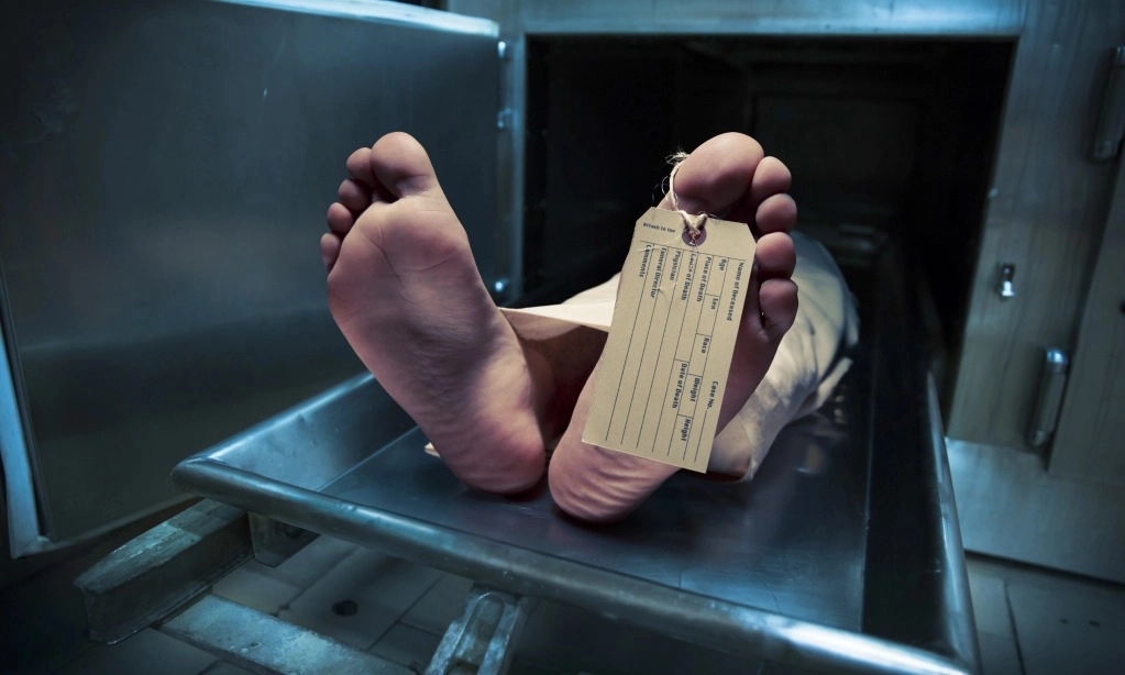 <p>Kemenlu Jelaskan Mahasiswa Meninggal di Wina, Austria</p>