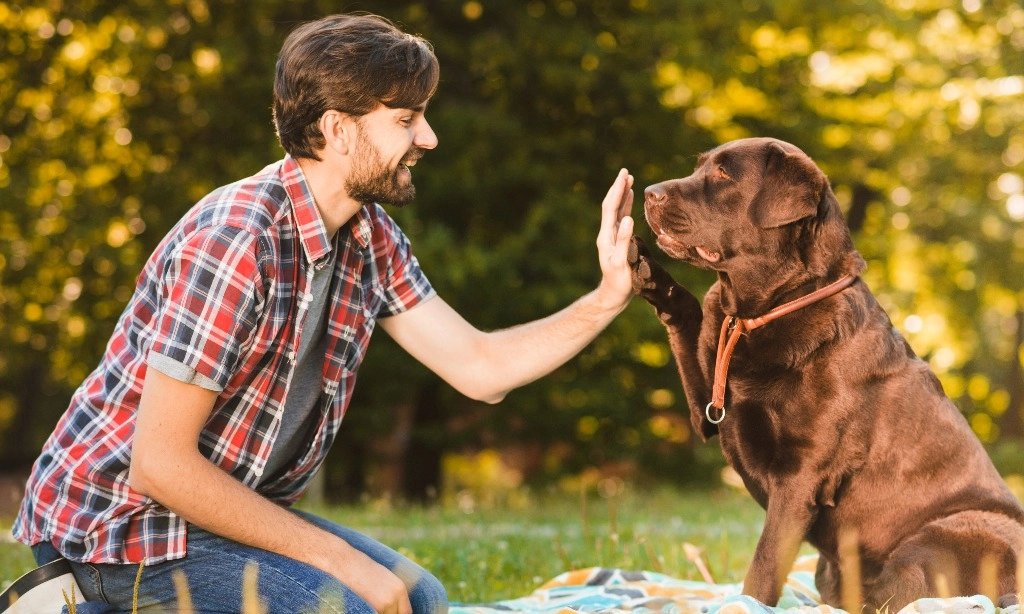 <p>Bukan Kebetulan, Begini Cara Anjing Menangkap Perasaan Pemiliknya</p>