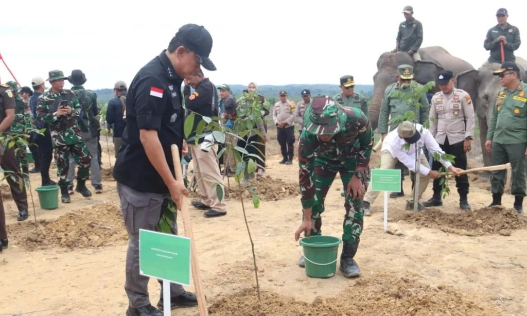 <p>Satgas PKH Kuasai Kembali 7.150 Ha Lahan Taman Nasional Tesso Nilo</p>