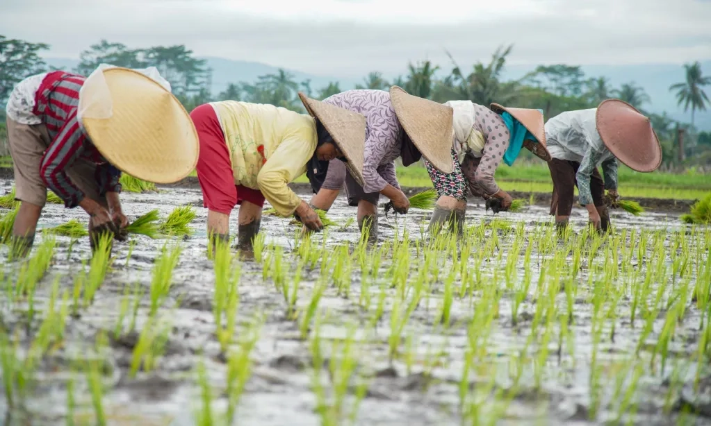 <p id="isPasted">﻿Inpres Percepatan Swasembada Diteken Prabowo, Ini Tugas Danantara</p>